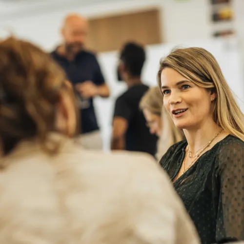 Managing Consultant Opgavegericht Werken