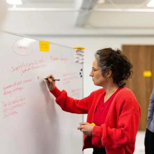 Senior Business Consultant Agility