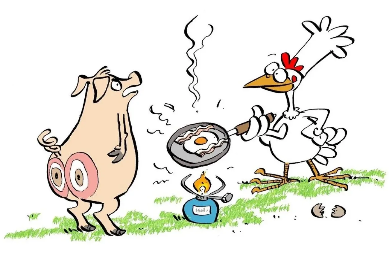 Pig and chicken 1